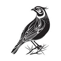 Quail Bird Silhouette design Isolated on White background vector