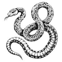 Sketch of a snake in an 'S' shape, side view, on a white background vector