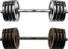 dumbbell set isolated illustration on white backgroun vector