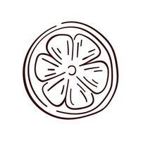 Lemon round slice line art style icon. Hand drawn outline citrus piece of circle shape. Summer design. illustration isolated on a white background. vector