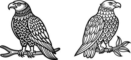Two Eagle Sitting a tree branch vector