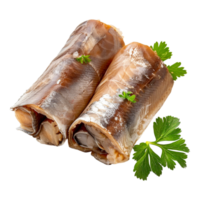 Lightly salted Fish fillet on Transparent Background png