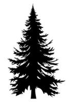 Fir trees silhouette. Black silhouette of sine tree on white background. illustration vector