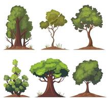 Cartoon style bonsai tree colorful illustration. tree illustration on white background. Icon set. vector