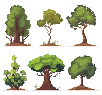 Cartoon style bonsai tree colorful illustration. tree illustration on white background. Icon set.