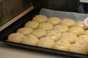 bun blanks on a baking sheet 3 photo