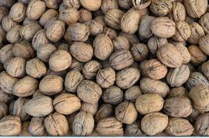 Fresh walnuts in the shell full frame close up as background photo