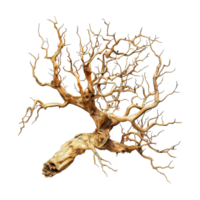 Tree with Roots on Transparent Background png