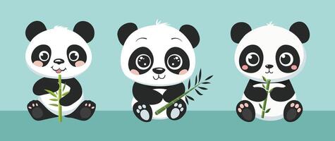 Set of illustration of panda bear holding a bamboo shoot with a simple smile on a light blue background vector