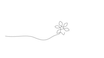 snowflake one line continuous animated video
