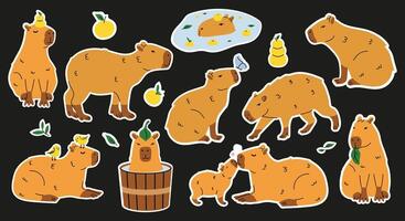 Capybara Stickers on Black Background Cute amusing characters swimming in water, bathing, walking, relaxing. vector
