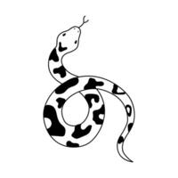 isolated element, snake. Hand drawn doodle. vector
