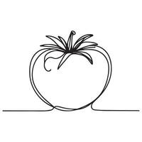 Tomato in continuous line art drawing style. Ripe tomato fruit black linear sketch isolated on white background. vector