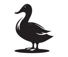 Duck isolated on white vector
