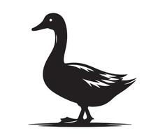 Duck isolated on white vector