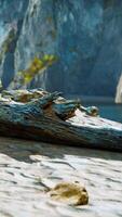 panoramic view of nice colorful huge cliff and sea video