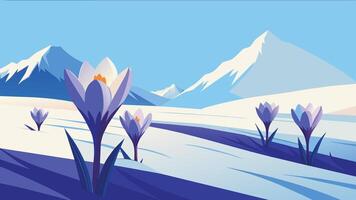 Crocuses in the snow flat illustration vector