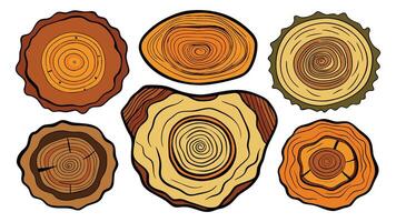 Tree rings. Hand drawn wood slice texture. Abstract tree age year circle. Line wooden circular ripple nature timber fractal stump. Organic trees material. flat set vector
