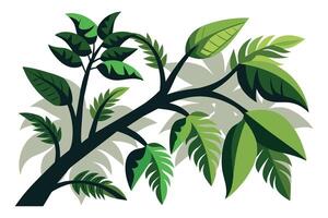 Greenery tree branch under shadow illustration on white background vector