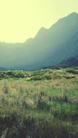 dry rugged mountain terrain with sparse vegetation and many rocks video