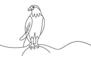Hawk Continuous line art illustration on white background vector