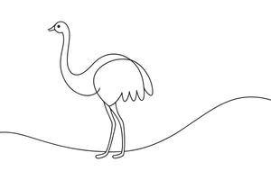 Emu Continuous line art illustration on white background vector