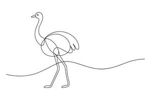 Ostrich Continuous line art illustration on white background vector