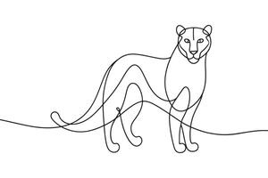 Leopard Continuous line art illustration on white background vector