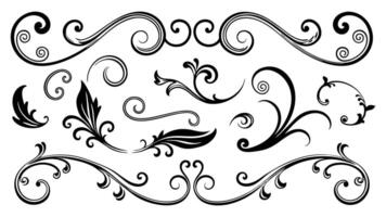 Swirl ornament. Filigree flourish twirl vintage line divider frame calligraphy element. vector