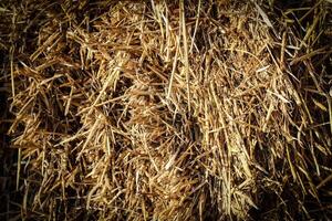 Abstract background bale of straw photo