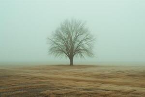 A foggy morning with a single tree barely visible photo