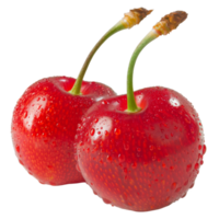 Cherry, fruit realistic Illustration. Realistic Transparent file. Mockup template for artwork graphic design png