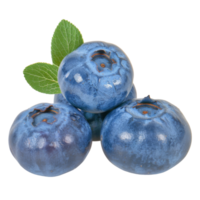 Blueberry, fruit realistic Illustration. Realistic Transparent file. Mockup template for artwork graphic design png
