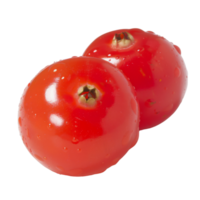 Cranberry, fruit realistic Illustration. Realistic Transparent file. Mockup template for artwork graphic design png