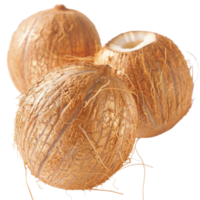 Coconut, fruit realistic Illustration. Realistic Transparent file. Mockup template for artwork graphic design png