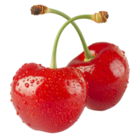 Cherry, fruit realistic Illustration. Realistic Transparent file. Mockup template for artwork graphic design png