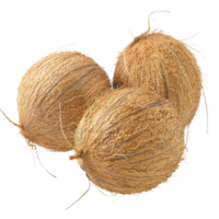 Coconut, fruit realistic Illustration. Realistic Transparent file. Mockup template for artwork graphic design png