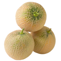 Cantaloupe, fruit realistic Illustration. Realistic Transparent file. Mockup template for artwork graphic design png