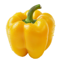 Yellow Bell Pepper, fruit realistic Illustration. Realistic Transparent file. Mockup template for artwork graphic design png