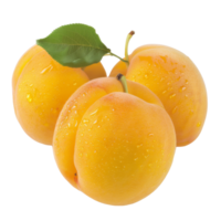 Apricot, fruit realistic Illustration. Realistic Transparent file. Mockup template for artwork graphic design png