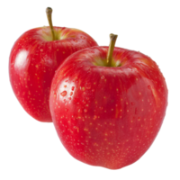 Red Apple, fruit realistic Illustration. Realistic Transparent file. Mockup template for artwork graphic design png