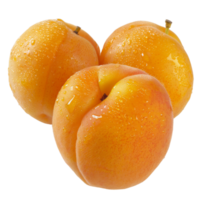 Apricot, fruit realistic Illustration. Realistic Transparent file. Mockup template for artwork graphic design png