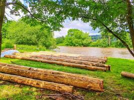 Planks and logs lie on the grass by the river, seasoning for building a raft. photo