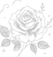 Beautiful rose line art sketch vector