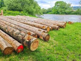 Planks and logs lie on the grass by the river, seasoning for building a raft. photo