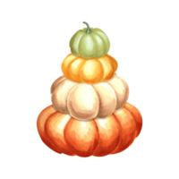 Pumpkins colorful in pile. Harvest Autumn composition. Hand drawn watercolor illustration isolated. Thanksgiving traditional vegetables. Template for invitation, card, Halloween, wrapping, embroidery. png