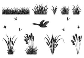 Set of silhouette elements of reeds and marsh grass. Simple illustration of swamp vegetation. Shadow of a mallard duck and duck vector