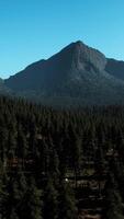 An aerial view of a forest with mountains in the background video
