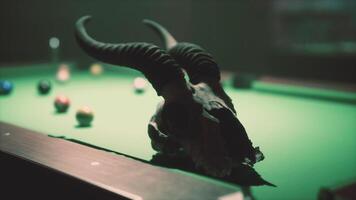 A bull head on top of a pool table video