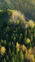 Top view of beautiful green fields and forests on sunny day. Clip. Green fields with roads and village in forest parts. Landscape of village road and houses with green fields and forests in summer video